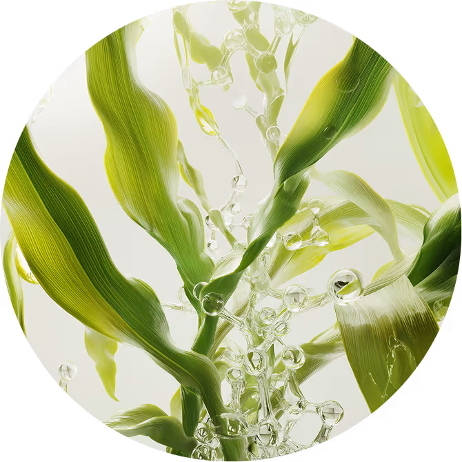 Fresh green crop cultivation